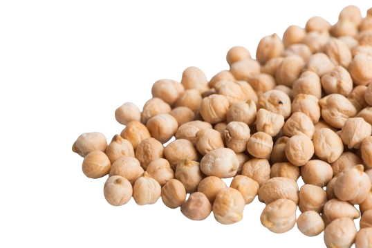 Chick Pea
